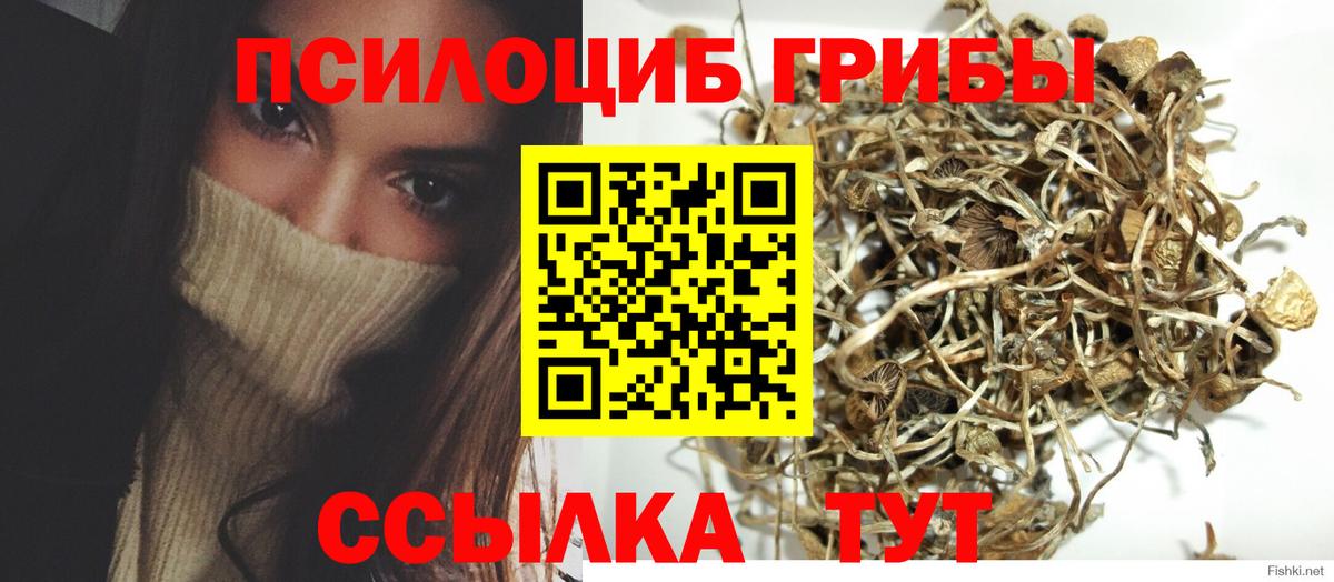 Кстово  Галлюциногенные грибы MAGIC MUSHROOMS  Галлюциногенные грибы Cubensis  Вход с VPN 